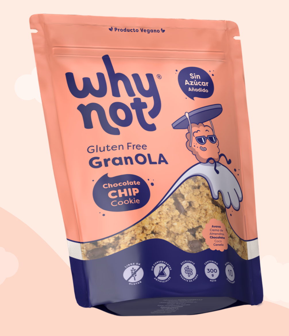 Granola Chocolate Chip Cookie 300gr (WHY NOT)
